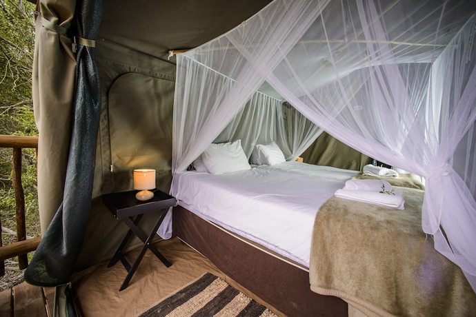 Imagen de la habitación del Hotel Shalati Safari Camp. Foto 4