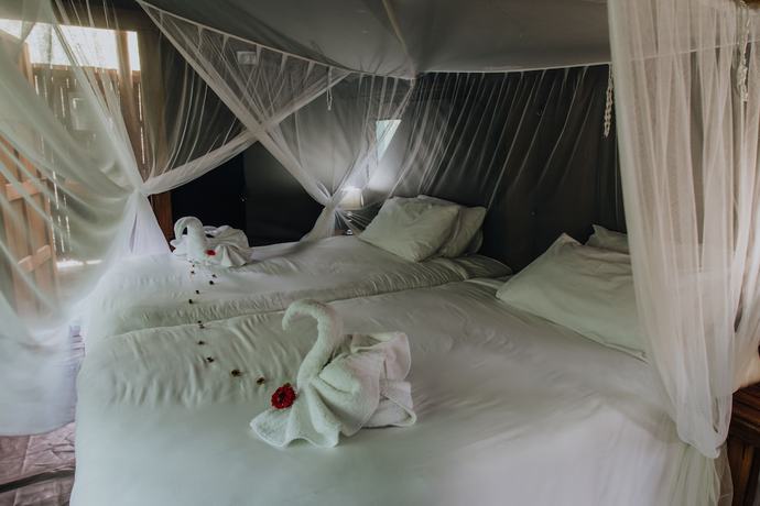 Imagen de la habitación del Hotel Shalati Safari Camp. Foto 5