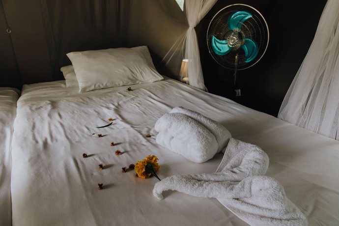 Imagen de la habitación del Hotel Shalati Safari Camp. Foto 7