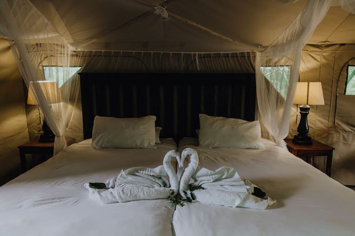 Imagen de la habitación del Hotel Shalati Safari Camp. Foto 10