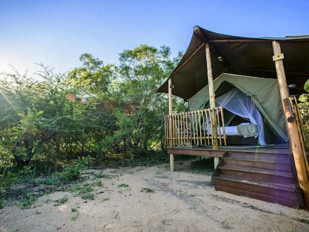 Imagen de la habitación del Hotel Shalati Safari Camp. Foto 11