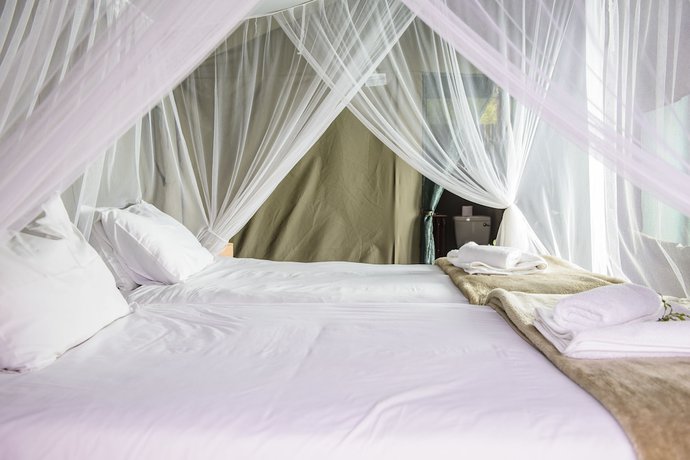 Imagen de la habitación del Hotel Shalati Safari Camp. Foto 14