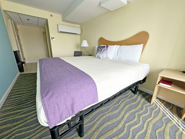 Imagen general del Hotel Shalimar Resort. Foto 7