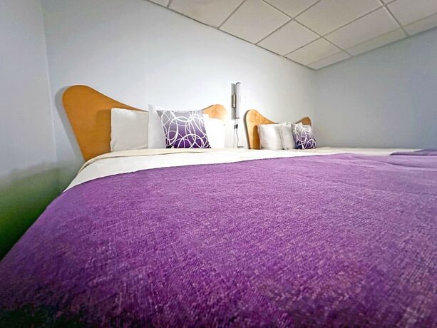 Imagen de la habitación del Hotel Shalimar Resort. Foto 19