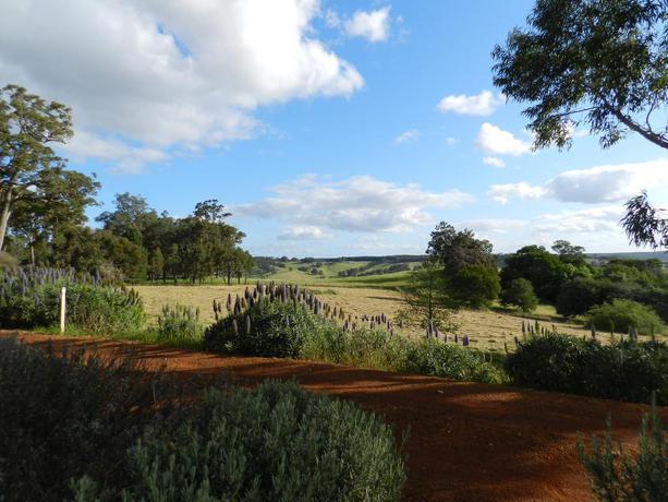 Imagen general del Hotel Shambhala Guest House. Foto 9