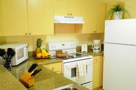 Imagen general del Hotel Shamrock Rentals Of South Florida - Gables. Foto 4