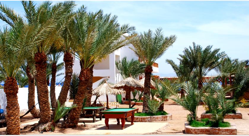 Imagen de los interiores del Hotel Shams and Dive Centre. Foto 4