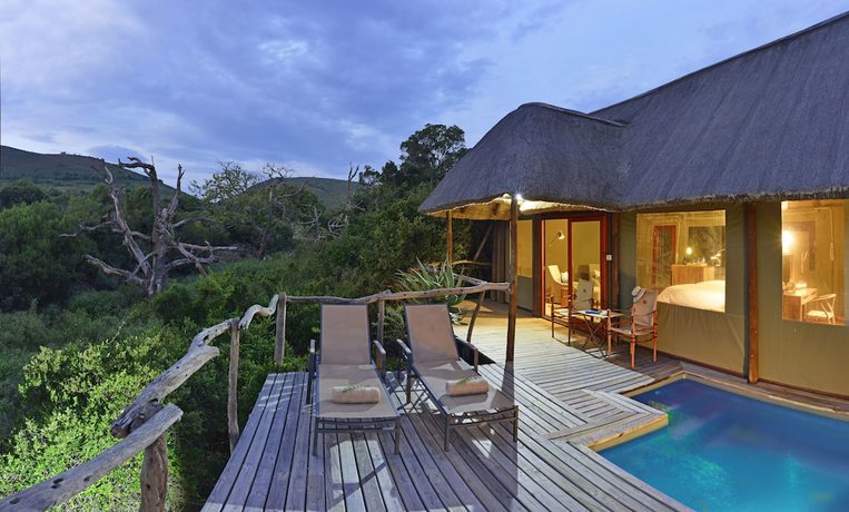Imagen de la habitación del Hotel Shamwari Bayethe. Foto 8