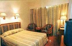 Imagen de la habitación del Hotel Shang Bala. Foto 3