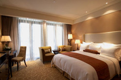 Imagen de la habitación del Hotel Shanghai Fenyang Garden Boutique Hotel. Foto 4