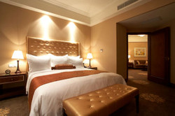 Imagen de la habitación del Hotel Shanghai Fenyang Garden Boutique Hotel. Foto 5