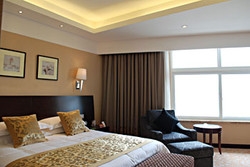Imagen de la habitación del Hotel Shanghai Xingyu Hotel. Foto 6