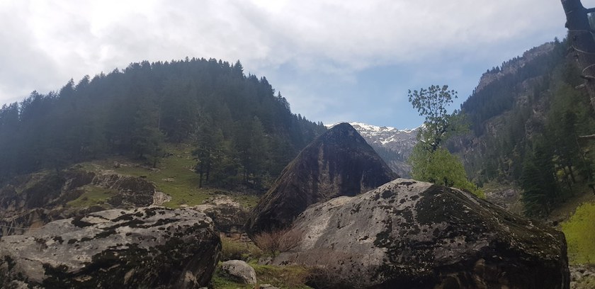 Imagen general del Hotel Shangrila sharda. Foto 2