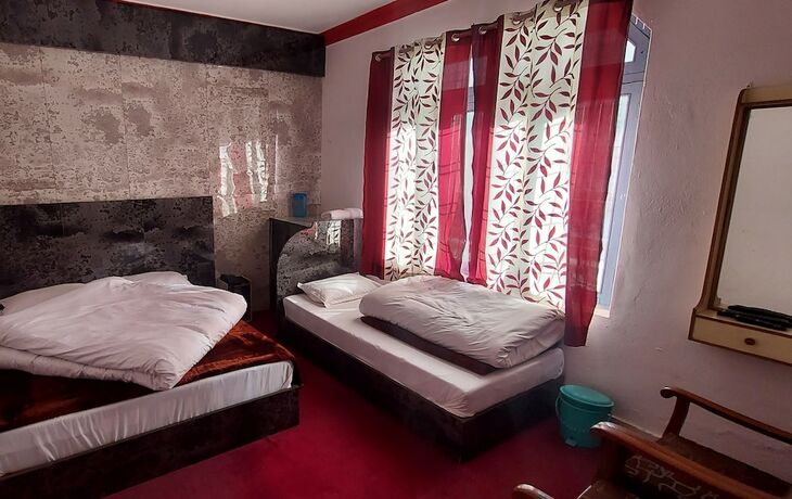 Imagen de la habitación del Hotel Shankar Shree. Foto 10