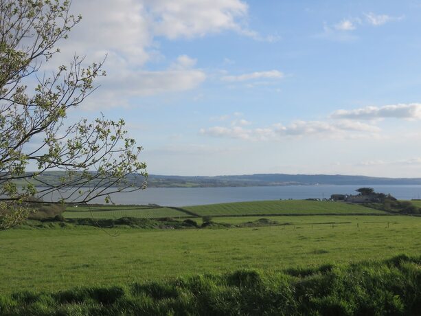 Imagen general del Hotel Shannon Estuary Glamping. Foto 17