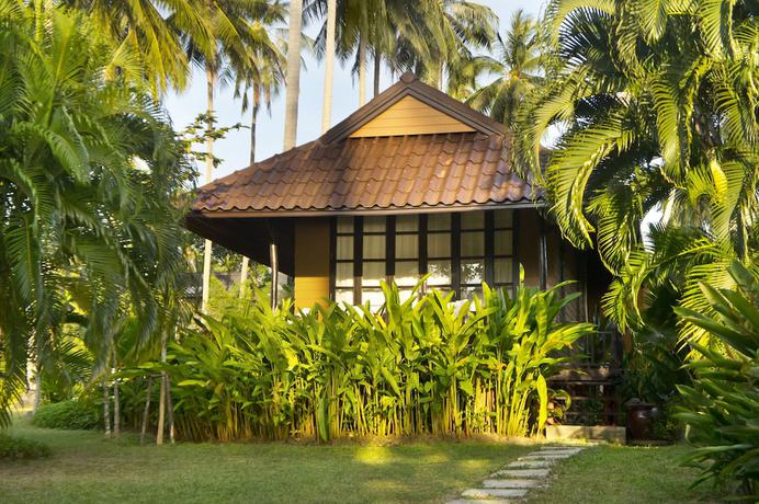 Imagen de la habitación del Hotel Shantaa Resort. Foto 6