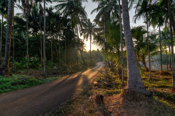 Imagen general del Hotel Shantai by the lake. Foto 3