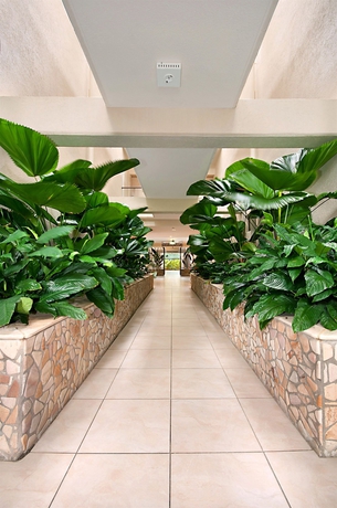 Imagen de los interiores del Hotel Shantara Resort Port Douglas - Adults Only Retreat. Foto 8