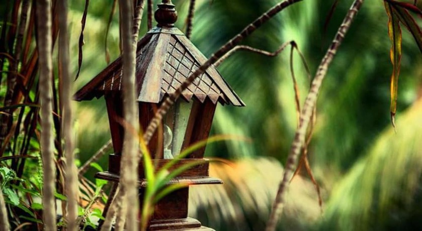 Imagen de los exteriores del Hotel Shanti Boutique. Foto 11