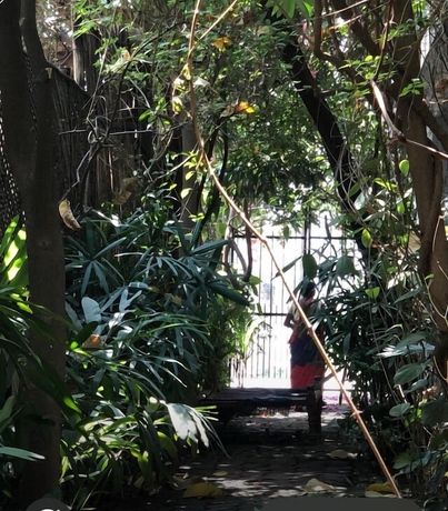 Imagen general del Hotel Shantidevi ashram s guesthouse. Foto 5