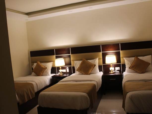 Imagen de la habitación del Hotel Shaqilath. Foto 8