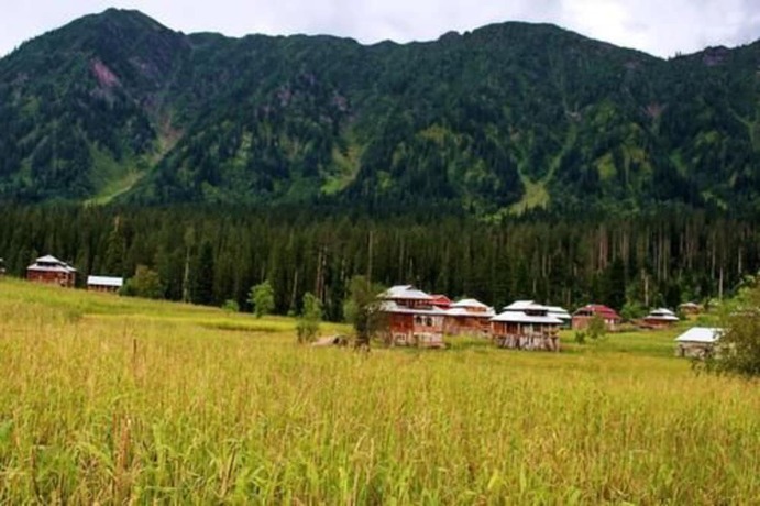 Imagen general del Hotel Sharda Resort. Foto 4