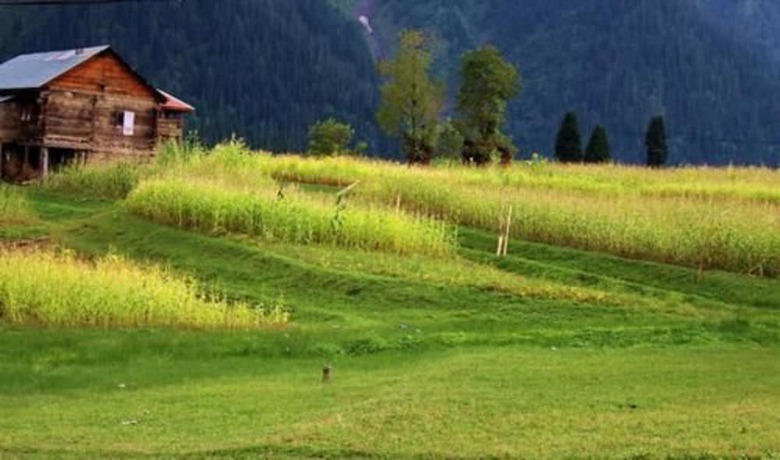 Imagen general del Hotel Sharda Resort. Foto 6