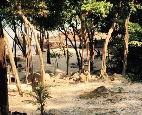 Imagen de la habitación del Hotel Shari-la Island Resort. Foto 6