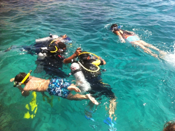 Imagen general del Hotel Shark Bay Oasis. Foto 9