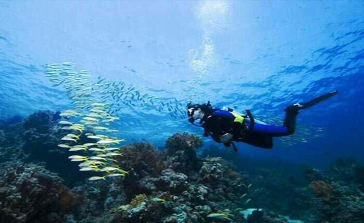 Imagen general del Hotel Shark paradise-Adults Only. Foto 11