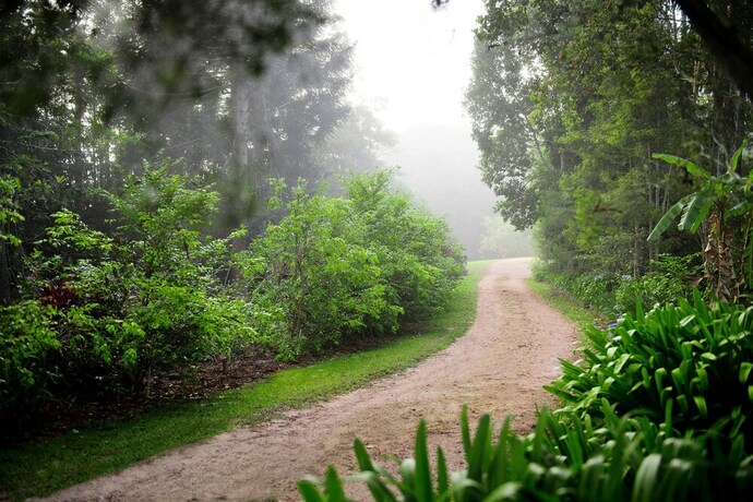 Imagen de los exteriores del Hotel Sharlynn by the River. Foto 35