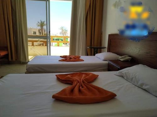 Imagen de la habitación del Hotel Sharm Club. Foto 18