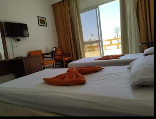 Imagen de la habitación del Hotel Sharm Club. Foto 20