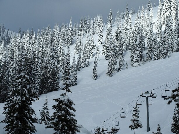 Imagen general del Hotel Shasta Inn. Foto 7