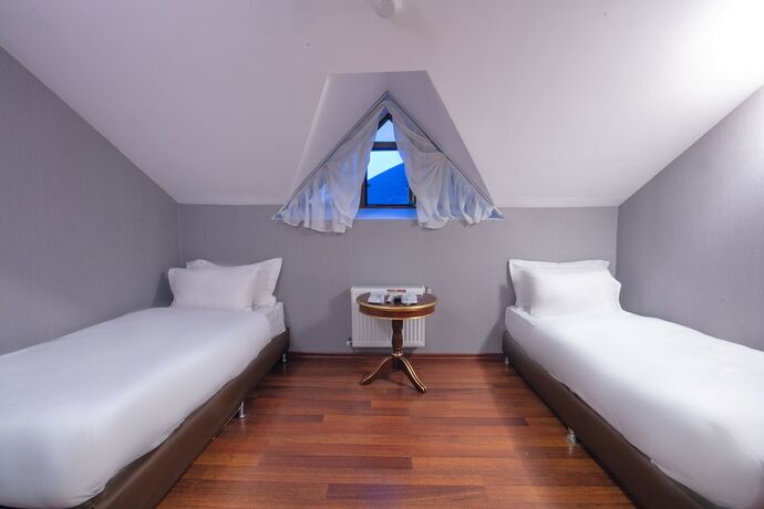 Imagen de la habitación del Hotel Sheki Palace. Foto 18