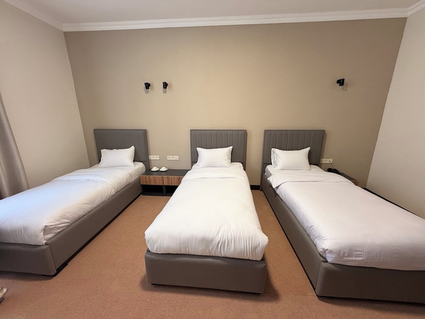 Imagen de la habitación del Hotel Sheldon, Erev&aacute;n. Foto 6