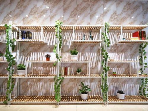 Imagen general del Hotel Shell Shanghai Baoshan District Songbin Road Subway Station. Foto 5