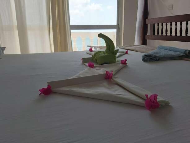 Imagen general del Hotel Shella Bahari Guest House. Foto 5