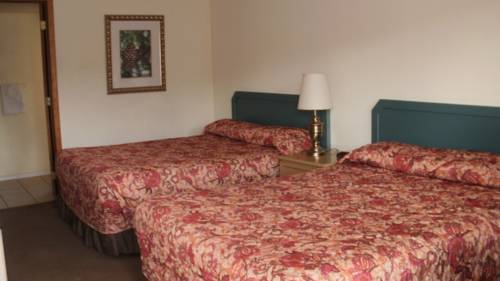 Imagen de la habitación del Hotel Shelton Inn. Foto 6