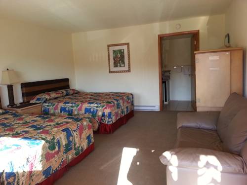 Imagen de la habitación del Hotel Shelton Inn. Foto 12