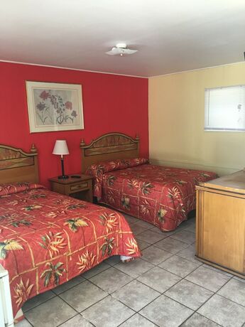 Imagen de la habitación del Hotel Shelton Motel. Foto 4