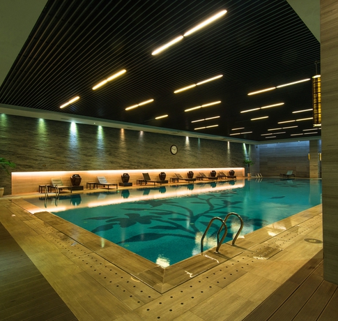 Imagen de la piscina del Hotel Shenzhen Castle. Foto 15