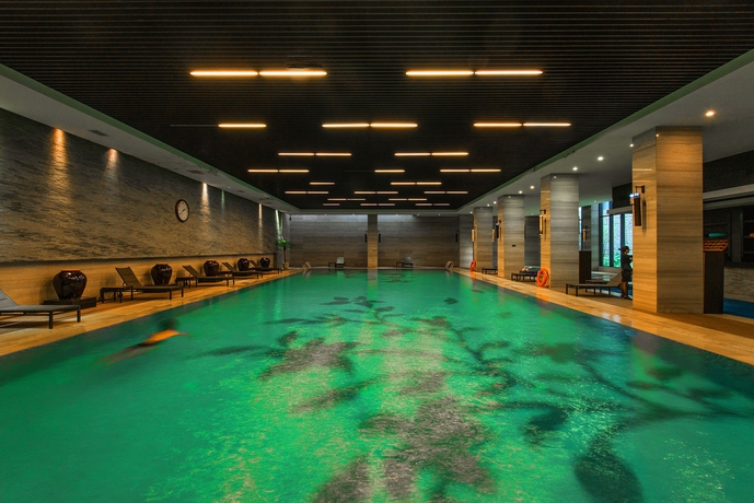 Imagen de la piscina del Hotel Shenzhen Castle. Foto 16