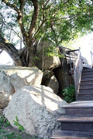 Imagen de los exteriores del Hotel Sheppard Boutique Guesthouse. Foto 5