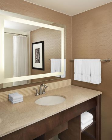 Imagen de la piscina del Hotel Sheraton Ann Arbor. Foto 15