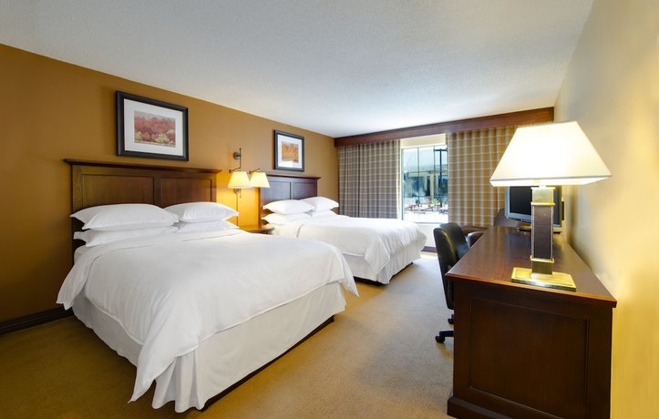 Imagen de la habitación del Hotel Sheraton Atlanta Perimeter North. Foto 6