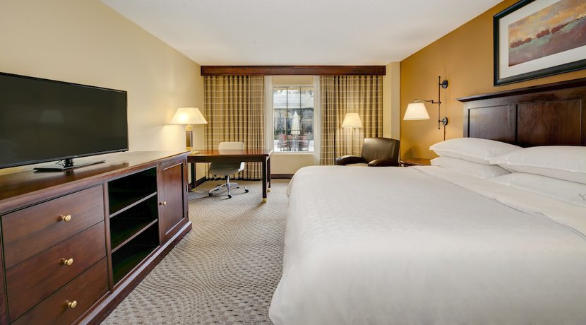 Imagen de la habitación del Hotel Sheraton Atlanta Perimeter North. Foto 17