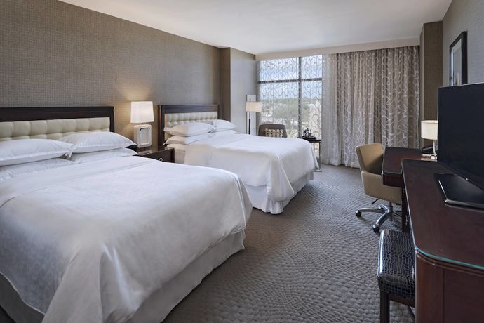 Imagen de la habitación del Hotel Sheraton Austin Georgetown & Conference Cent. Foto 2