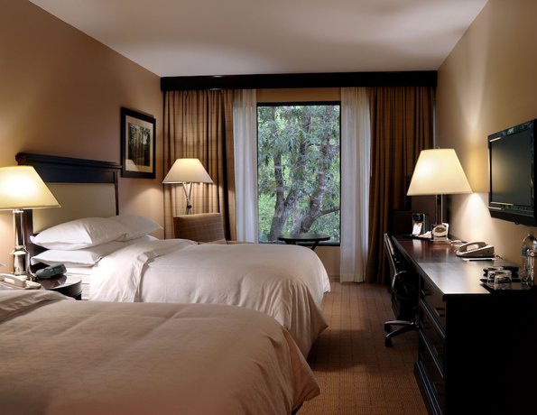 Imagen de la habitación del Hotel Sheraton Chapel Hill. Foto 5