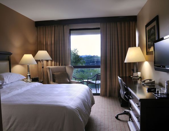 Imagen de la habitación del Hotel Sheraton Chapel Hill. Foto 6